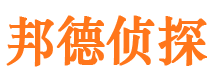 馆陶侦探公司